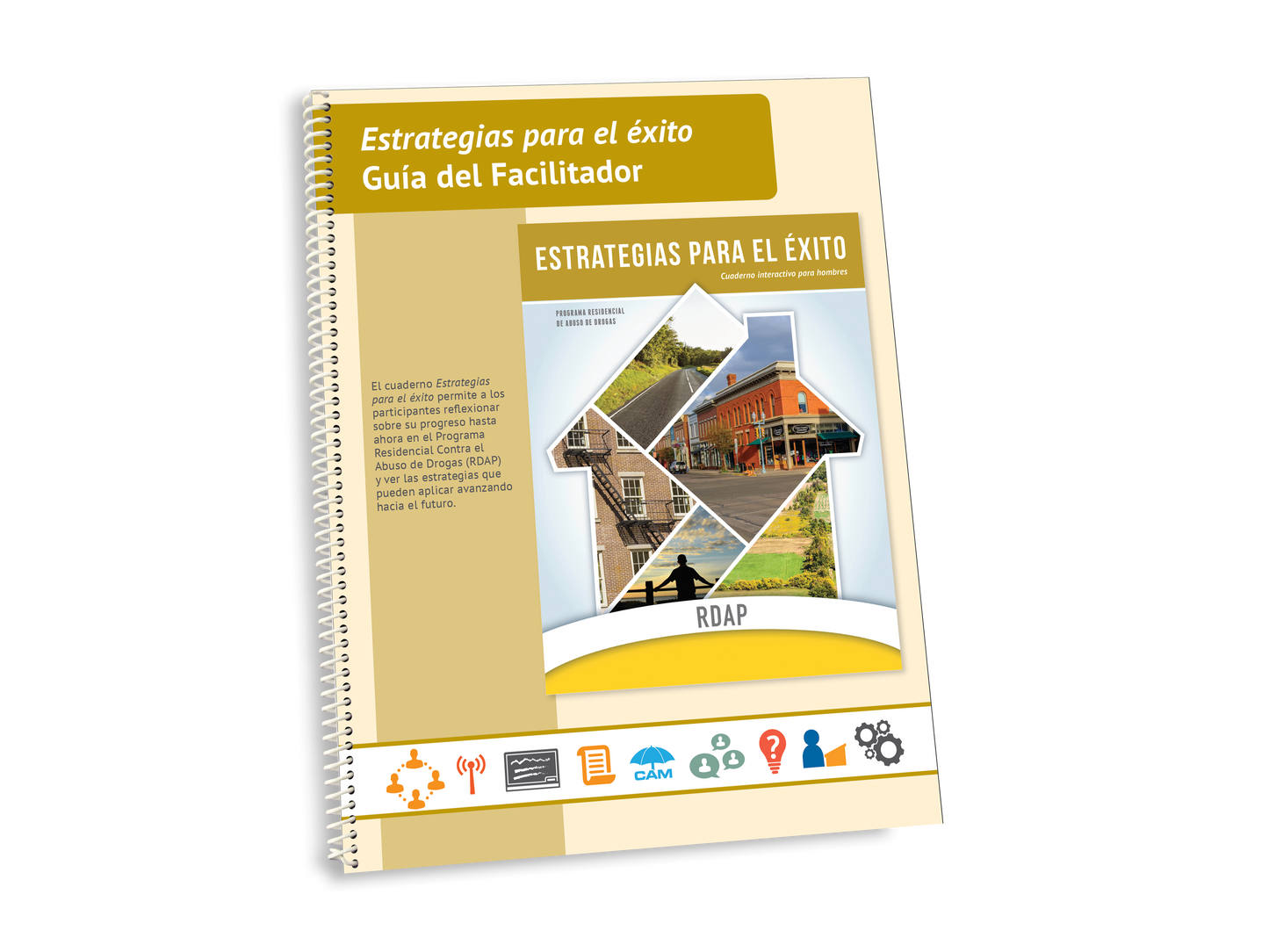 Men's Strategies for Success Facilitator Guide - SPANISH