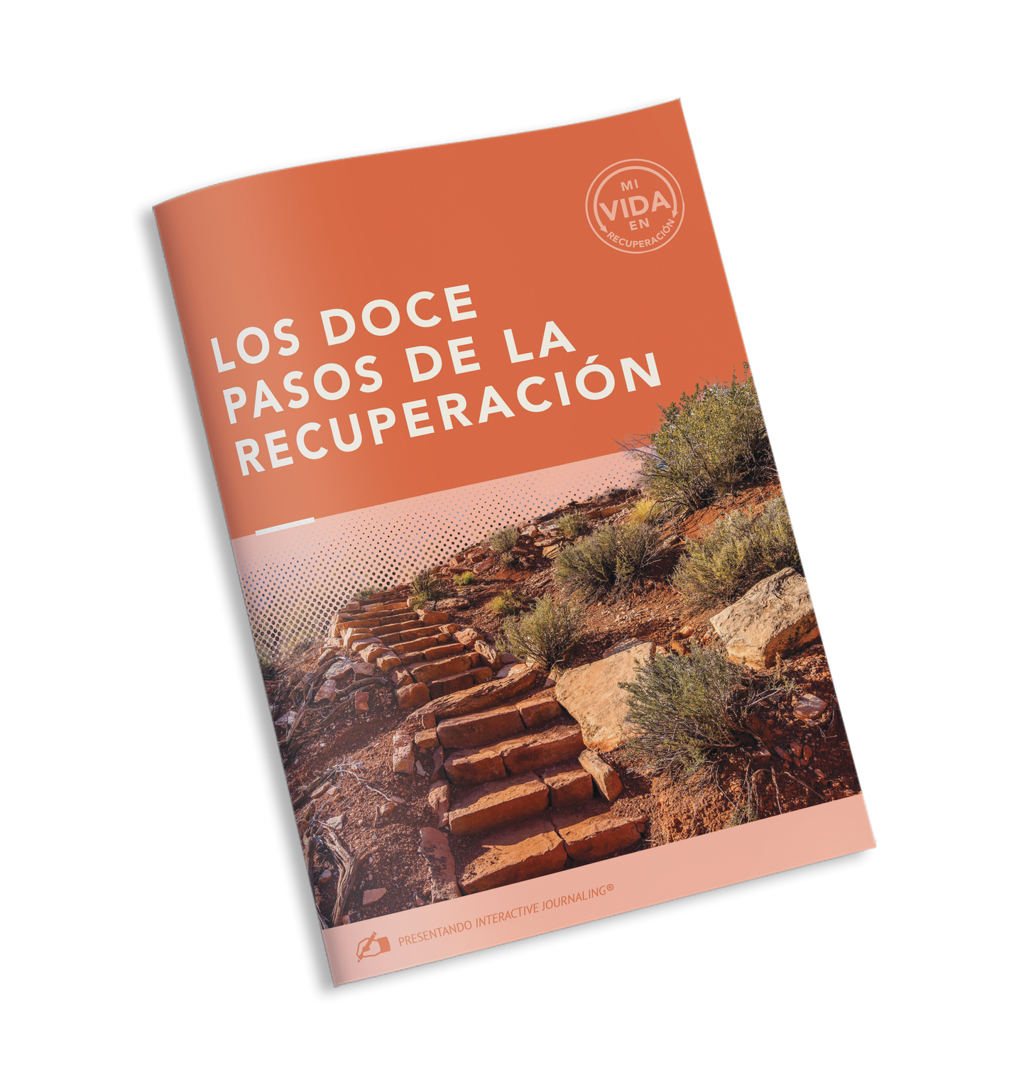 My Life in Recovery - My 12-Step Program - SPANISH