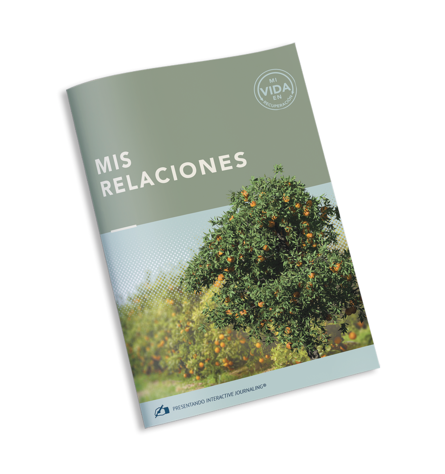 My Life in Recovery - My Relationships - SPANISH