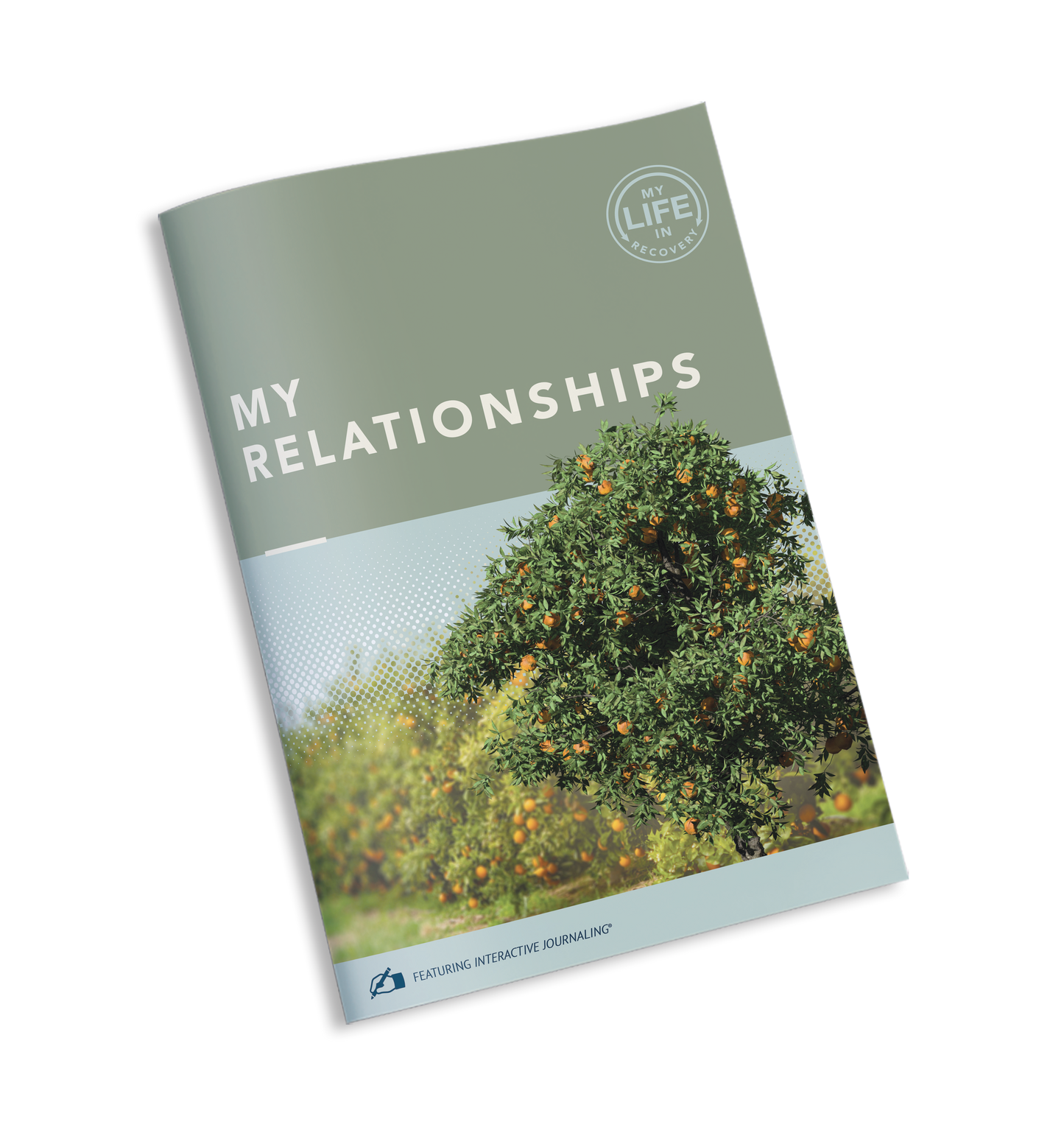 My Life in Recovery - My Relationships