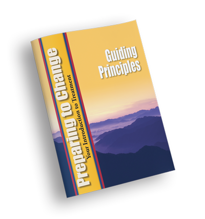 Guiding Principles