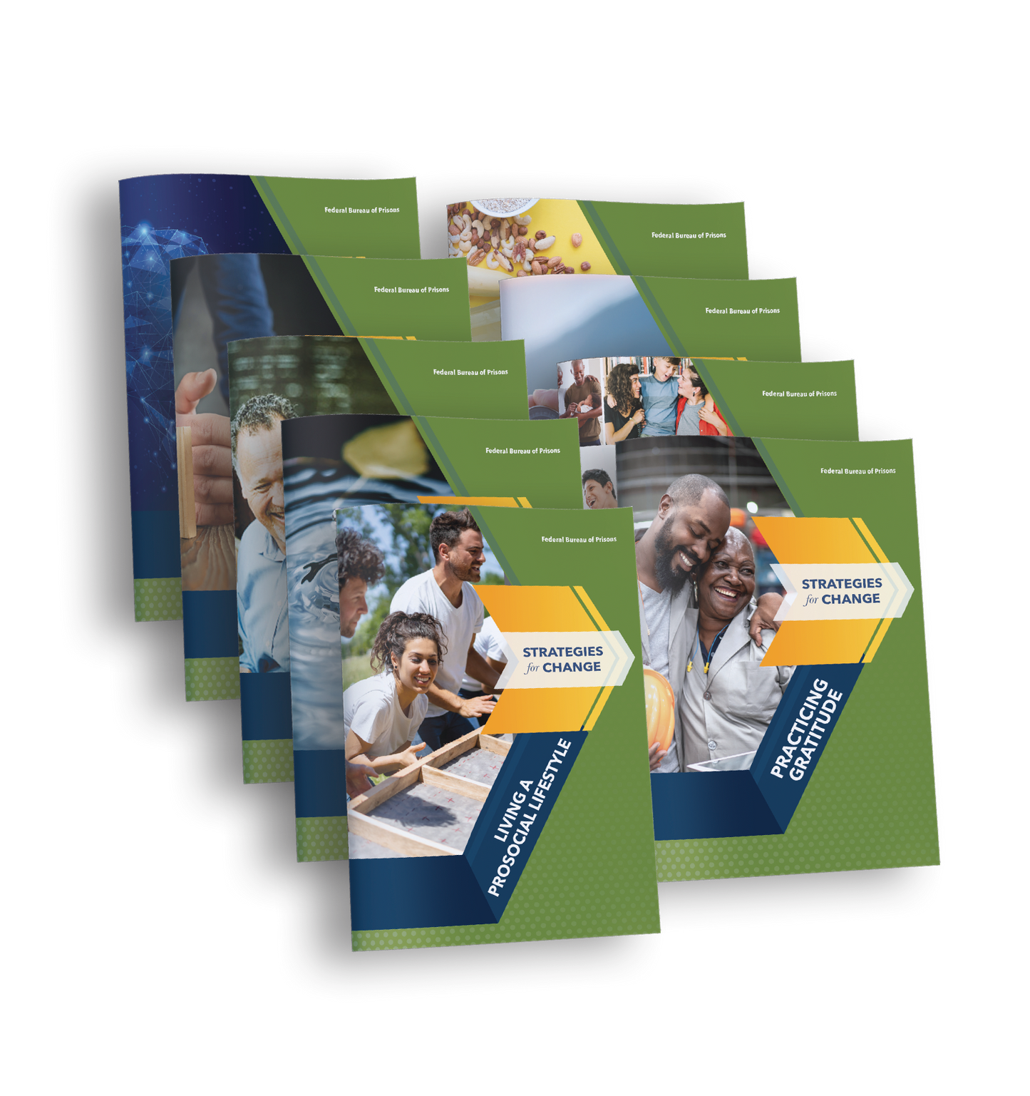Complete Set - Strategies for Change Journals