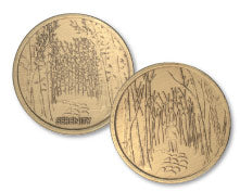 Serenity Medallion