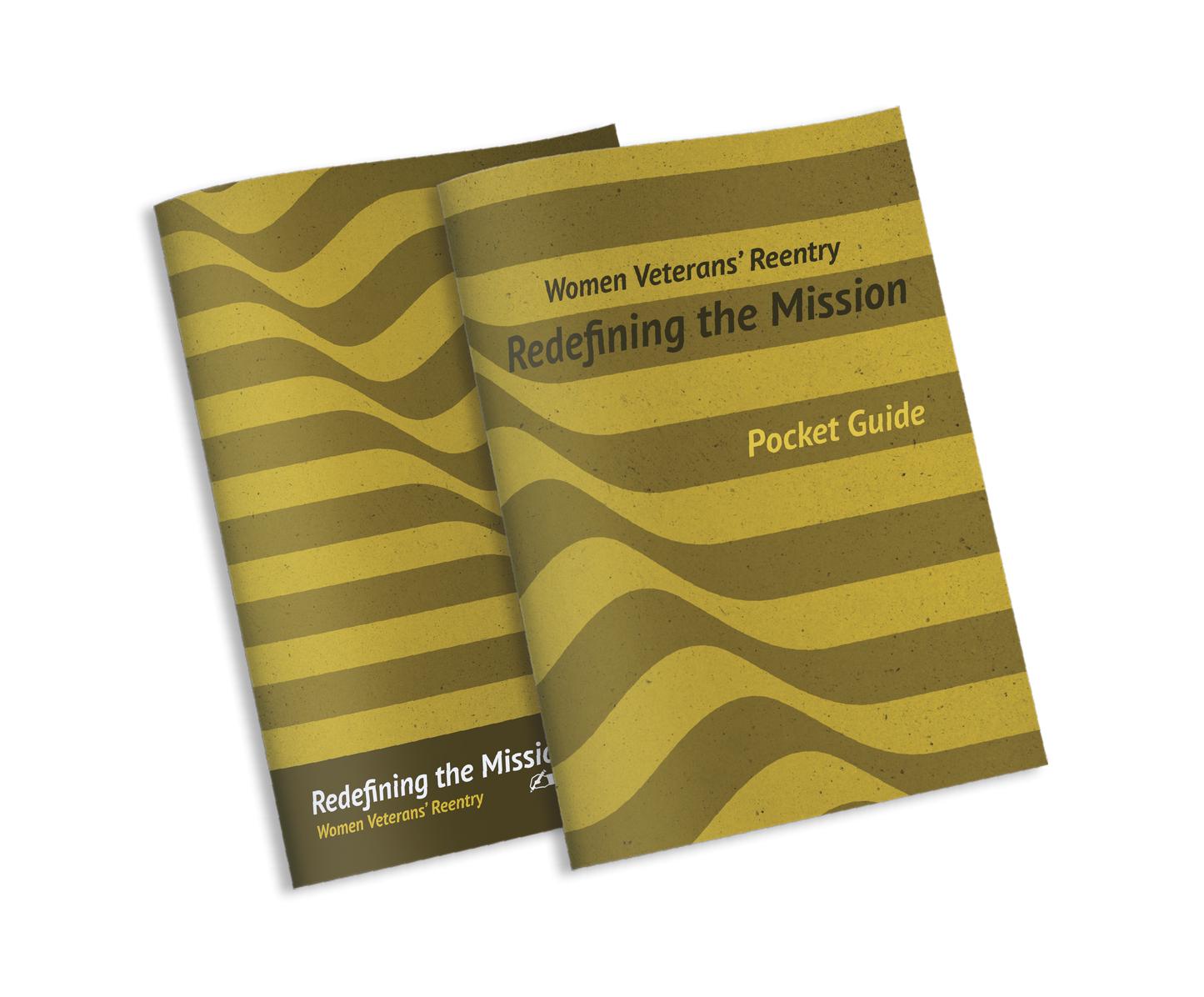Redefining the Mission: Women's Veterans' Reentry Journal Set