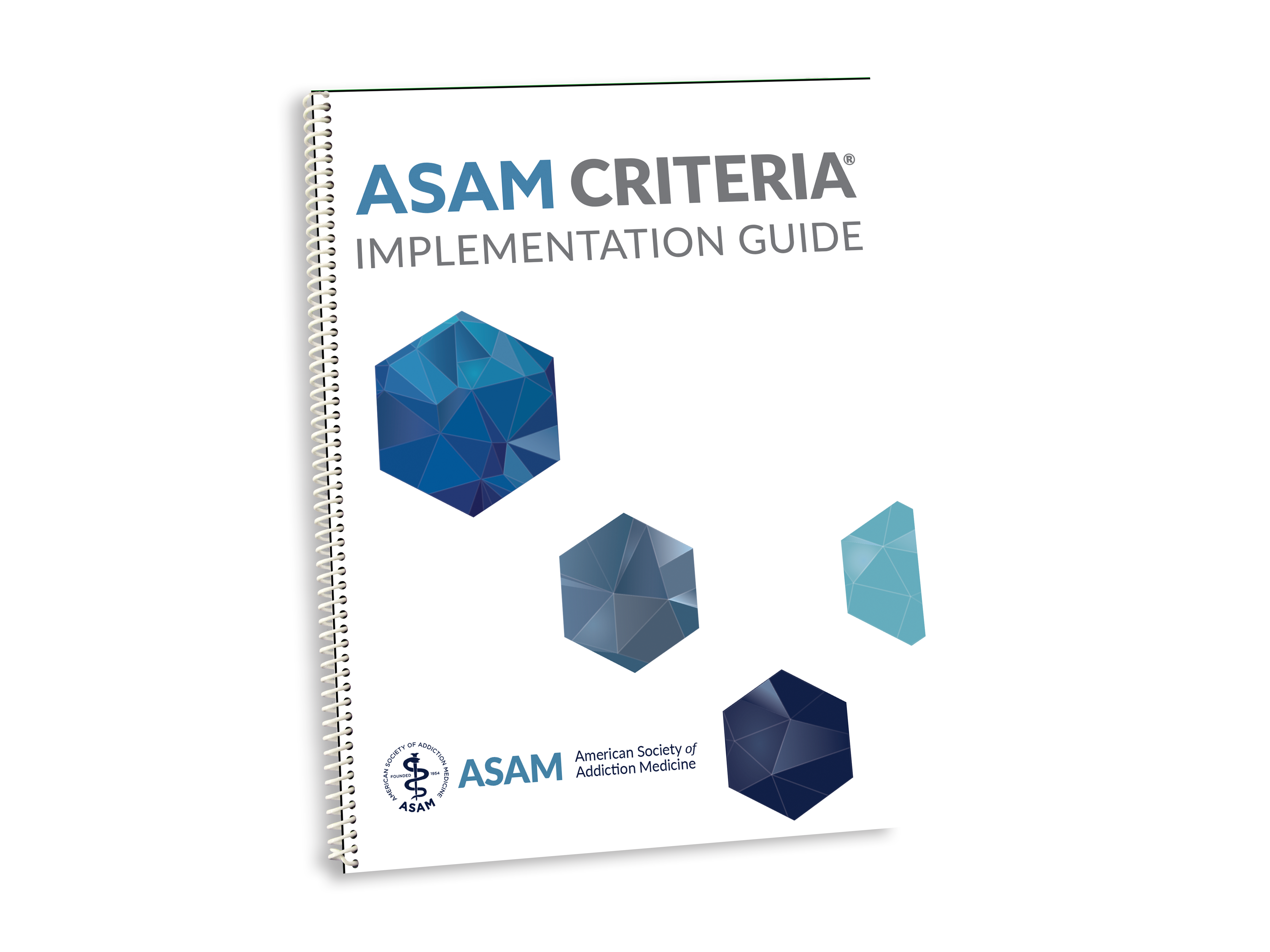 ASAM Criteria Implementation Guide The Change Companies   ASAMImplementationGuideMockup 