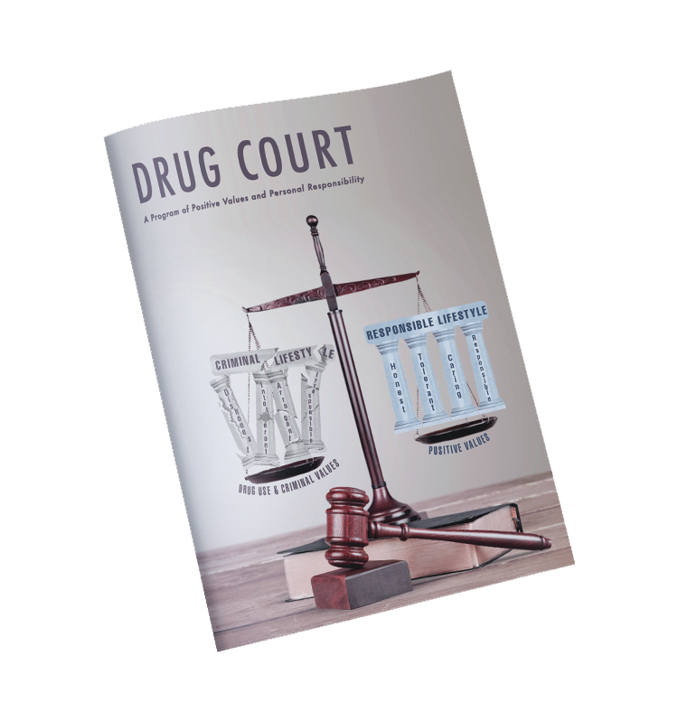 Drug Court Journal